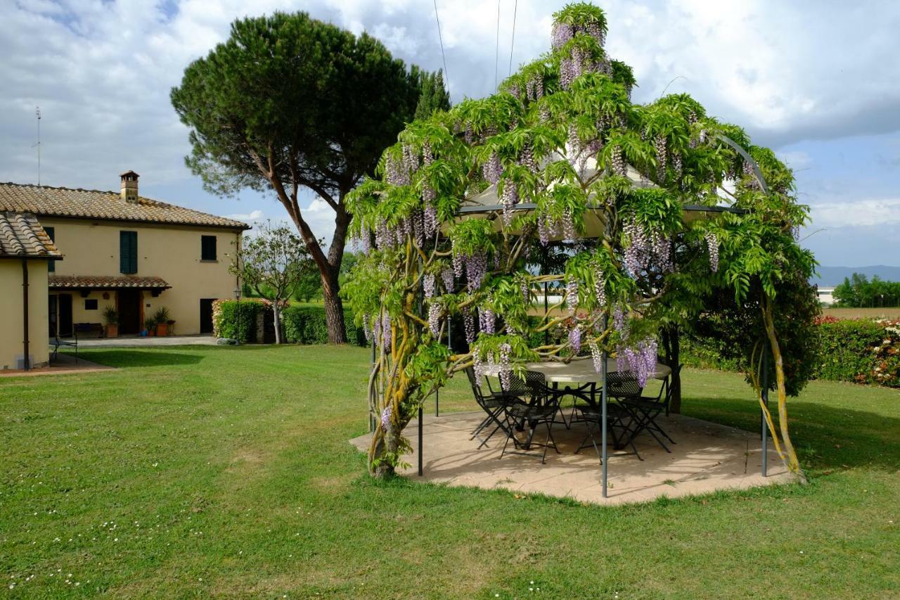 Canto De' Bacci Foiano Della Chiana Buitenkant foto